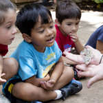 Young kids wearing Safari Day Camp look at a lizard being held in front of them.