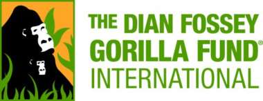 Dian Fossey Gorilla Fund - Best hair award goes to Ikaze's newest