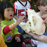 kids engaging with animal skull