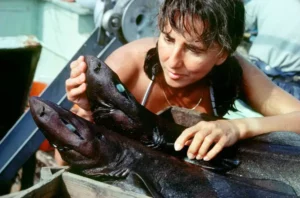 Eugenie Clark examines two small sharks