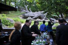 Guests wait at a bar in front of a gorilla in it habitat.