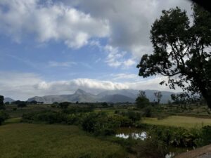 a photo of the countryside in Madagascar