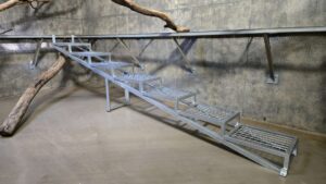 A metal staircase in an animal habitat, built to help geriatric primates navigate the inside habitat space. 