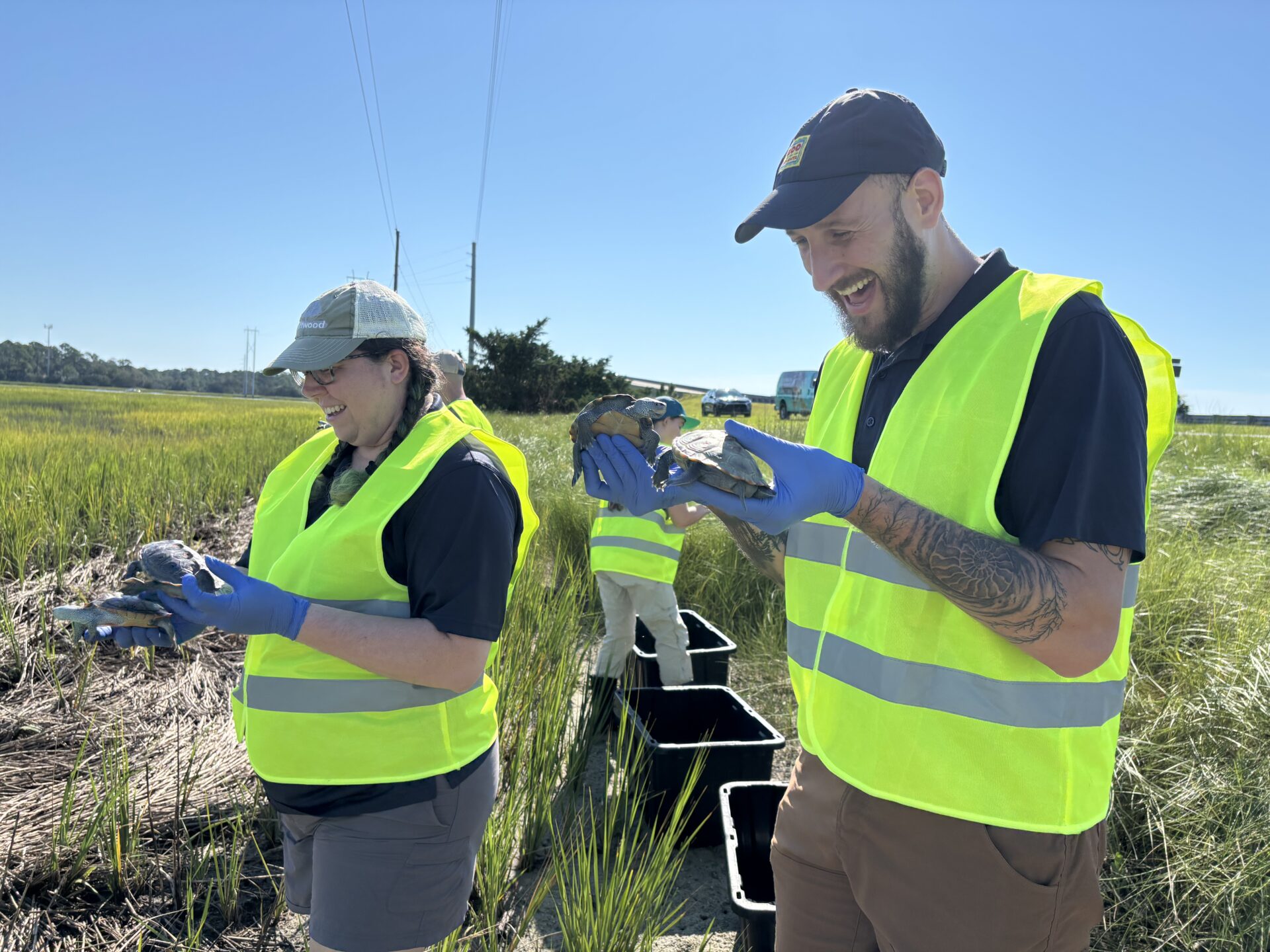 ZA team members release terrapins into the wild