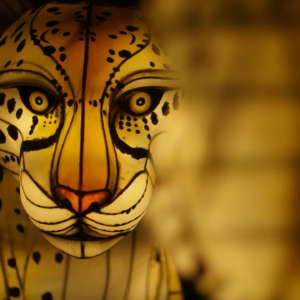 Hand-crafted Chinese lantern depicting a cheetah close up illuminates the night during IllumiNights at the Zoo: A Chinese Lantern Festival