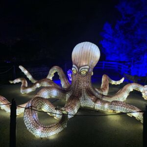 An illuminated lantern depicting a giant octopus