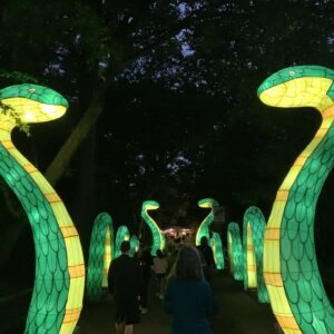 An illuminated lantern depicting a row of snakes.