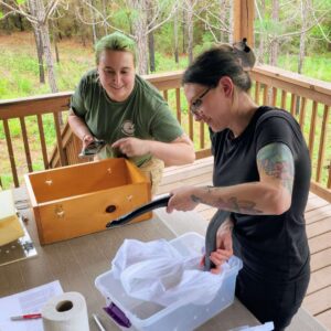 Melissa, Director of Interpretive Planning and Engagement participates in an indigo snake release