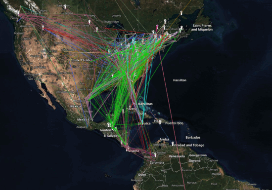 A map showing thousands of bird migration paths in North America