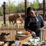 Catering in the African Savanna with elephants
