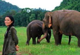 A woman stands with elephants in the background