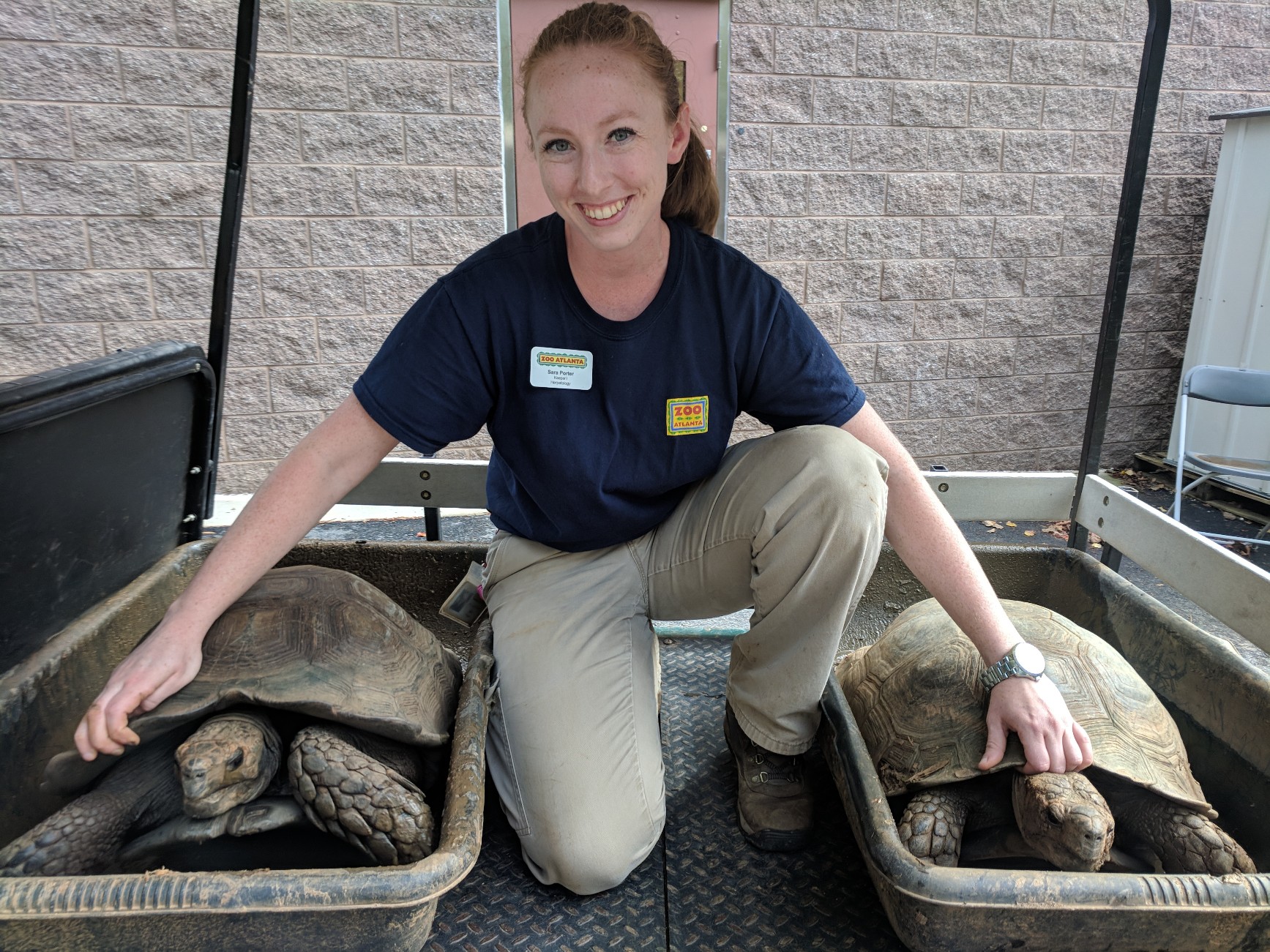 Where have all the turtles gone? - Zoo Atlanta