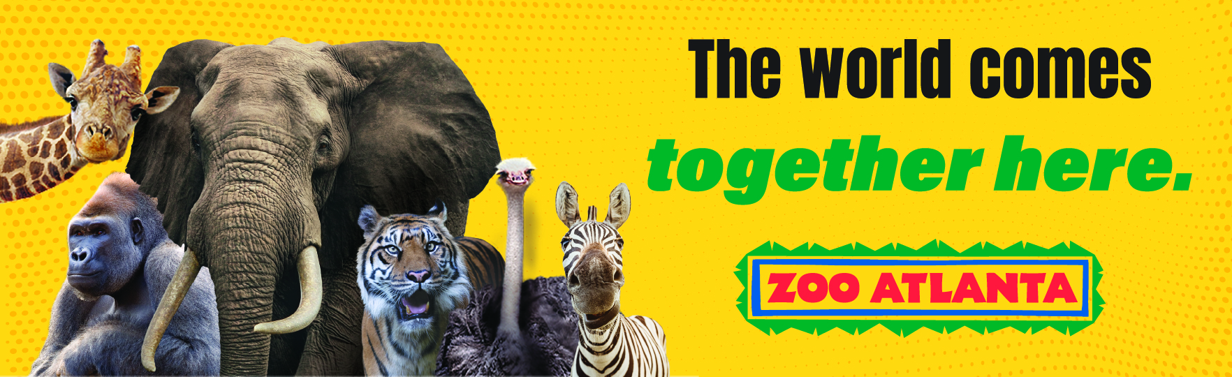 World Cup 1 A graphic of a lineup of zoo animals with the text "The world comes together here."