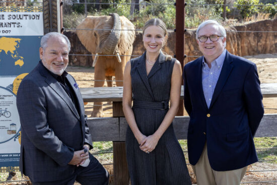 The 2026 Beastly Feast Co-Chairs pose in front of the elephant habitat