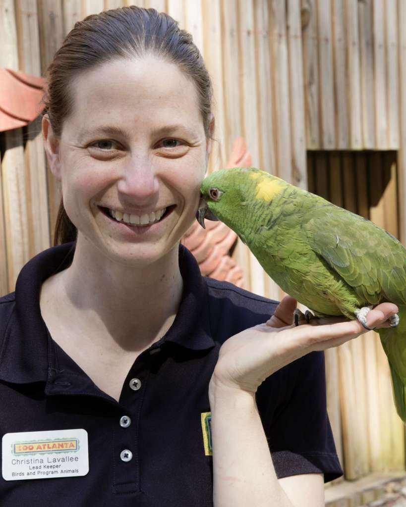 What’s it take to work at a zoo? Zoo Atlanta