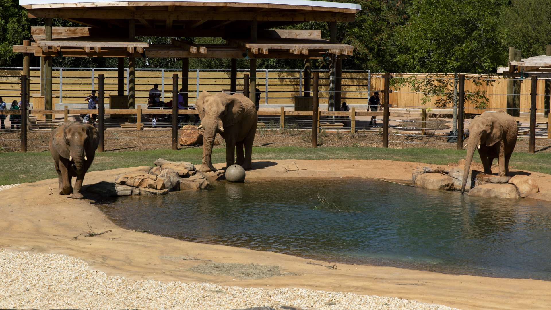 African Savanna - Zoo Atlanta