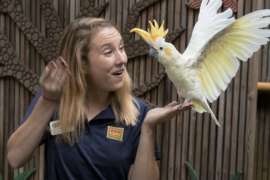 Emily Bobal with Sydney the crested cockatoo