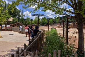 An interpreter talks to a few guests in front of a ostrich in its habitat.