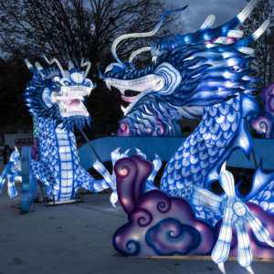 A lantern depicting two blue dragons