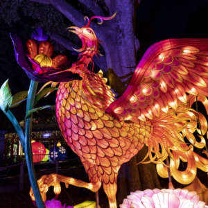 A decorative lantern depicting a rose finch