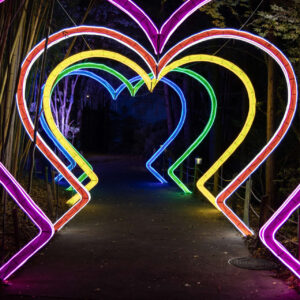 a path with colorful lights in the shape of hearts