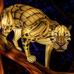 a lighted cheetah on a tree branch