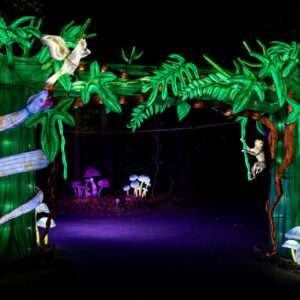 a lighted archway with trees and mushrooms