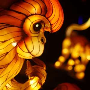 Hand-crafted Chinese lantern depicting a monkey illuminates the night during IllumiNights at the Zoo: A Chinese Lantern Festival