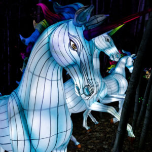 An illuminated lantern depicting an imaginary herd of unicorns