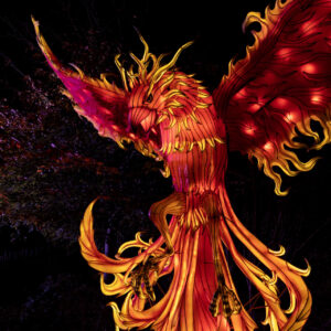 An illuminated lantern depicting an imaginary phoenix