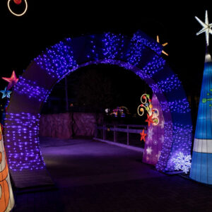 An illuminated tunnel of holiday lights