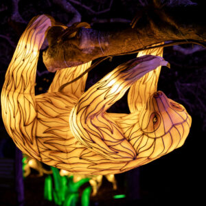 An illuminated lantern depicting a sloth in a tree