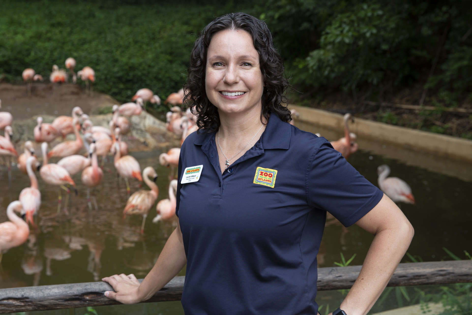 What does a zoological curator do? - Zoo Atlanta