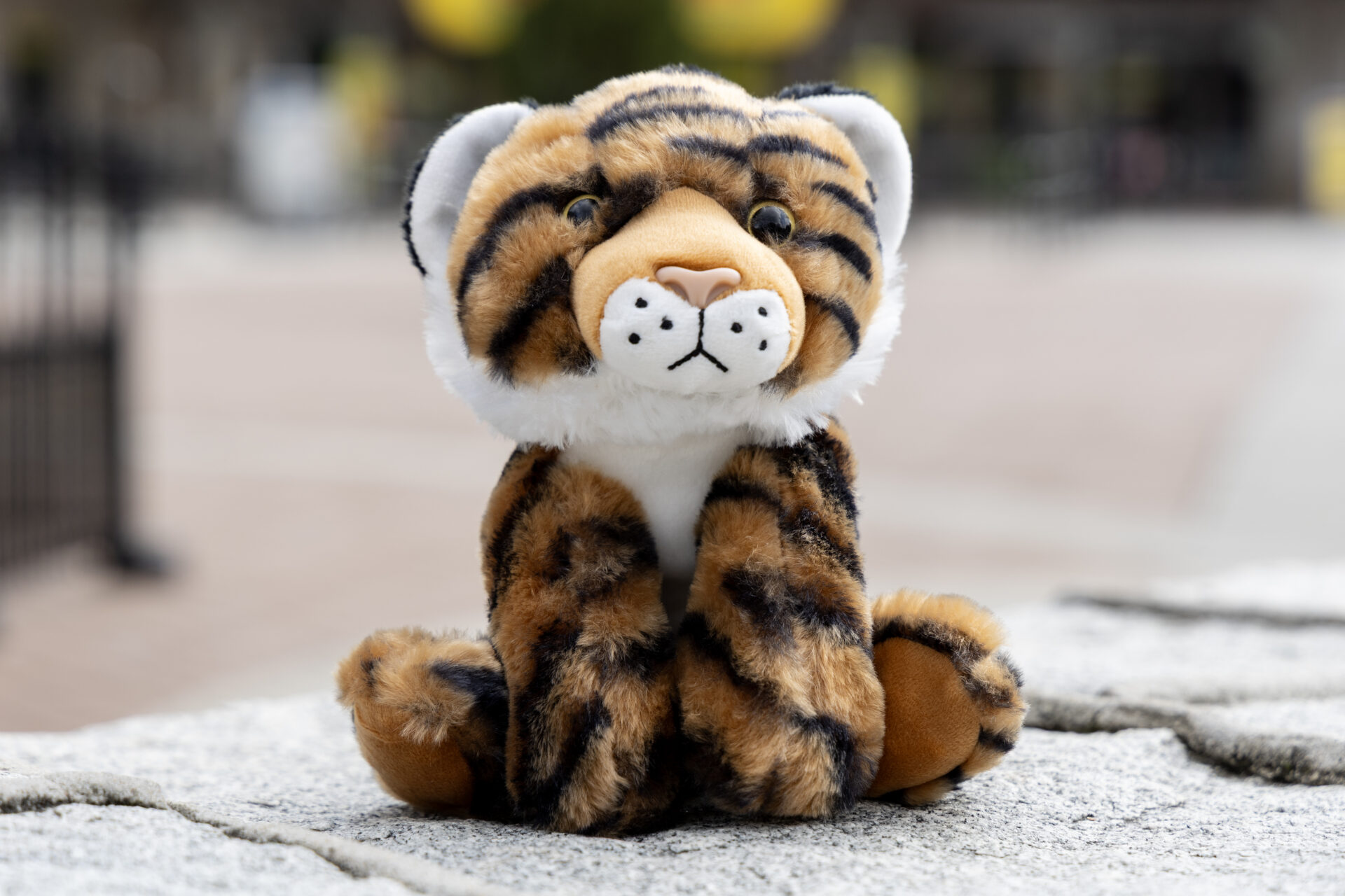 Gift Membership - Zoo Atlanta - FREE Daytime admission all year long