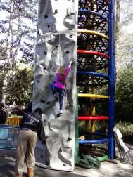 A girl climbs a rock wall climbing structure in the Zoo.