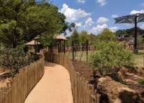A path lined with a bamboo fences passed by a zoo habitat on its way to the Savanna Vista event space.