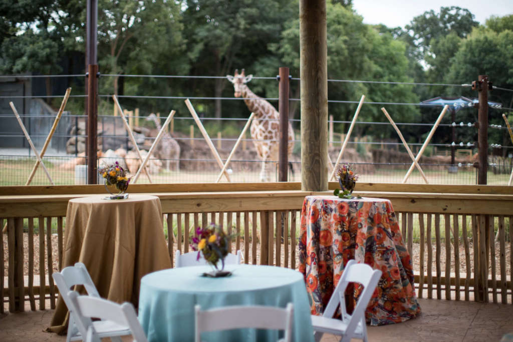 special events tables are set in front of the African Savanan