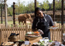 a catering staff member serves food in front of the elephant habitat