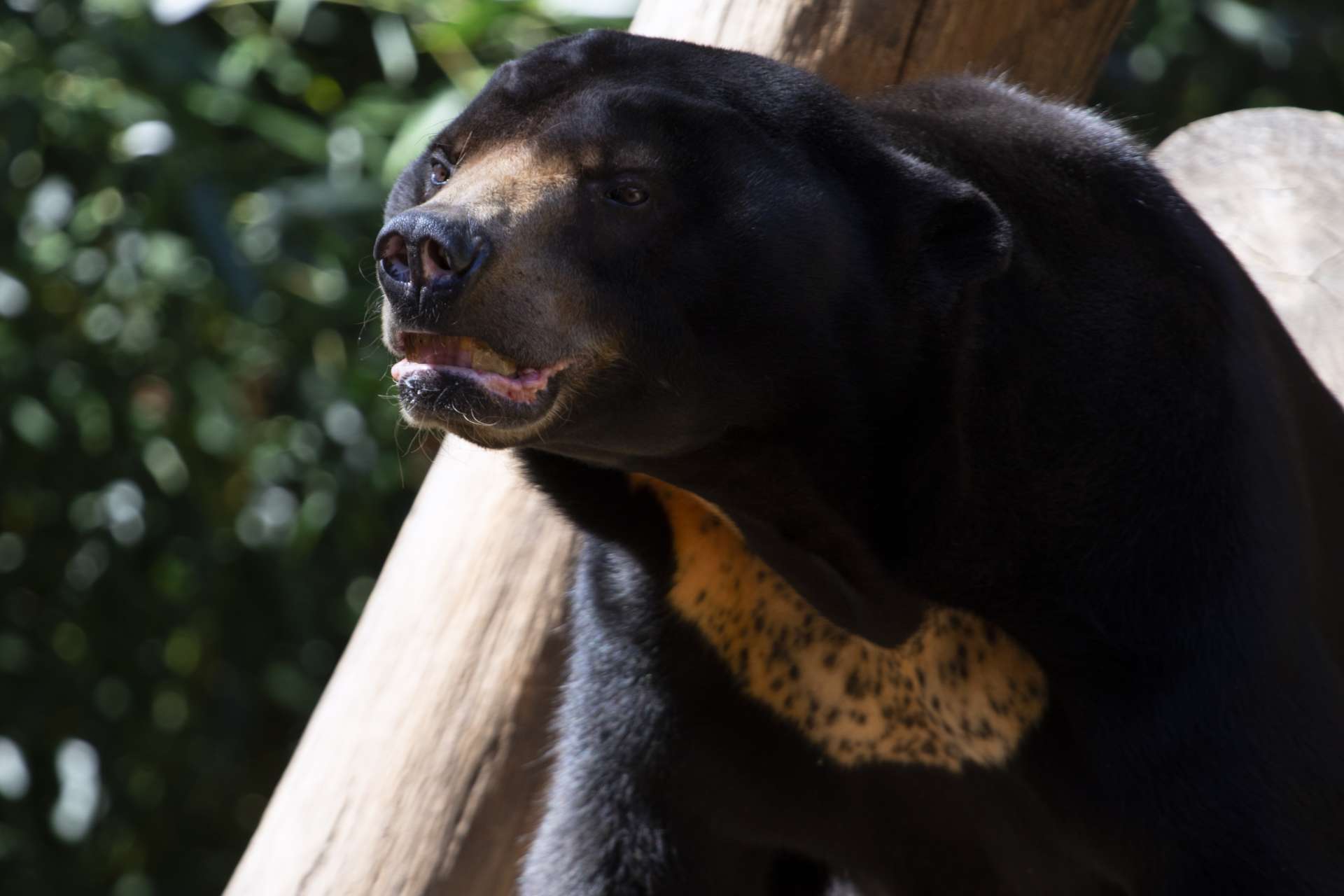 Animal Awareness Days - Zoo Atlanta
