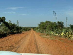 a dirt road in Madagascar