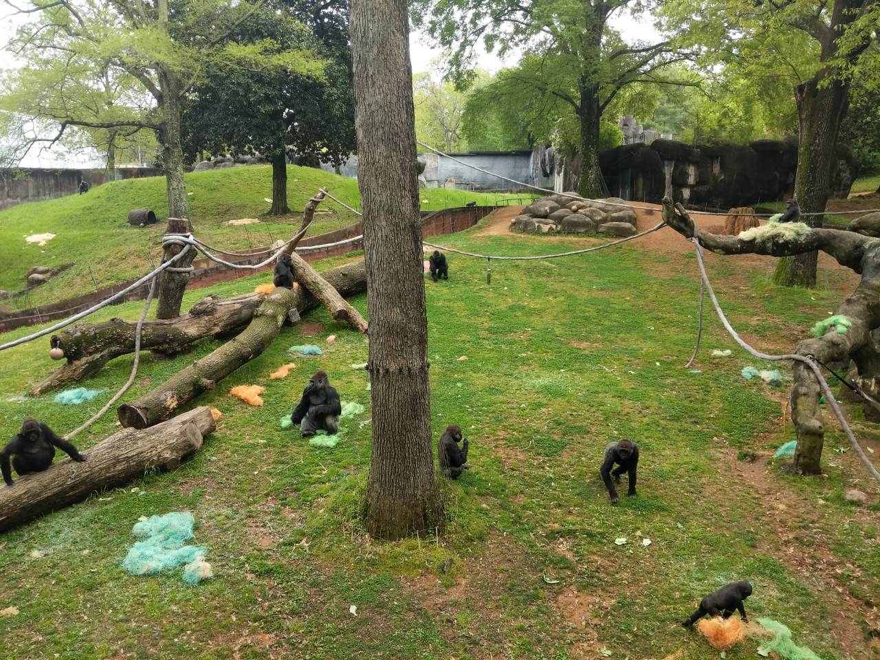 An egg-cellent time had by all - Zoo Atlanta