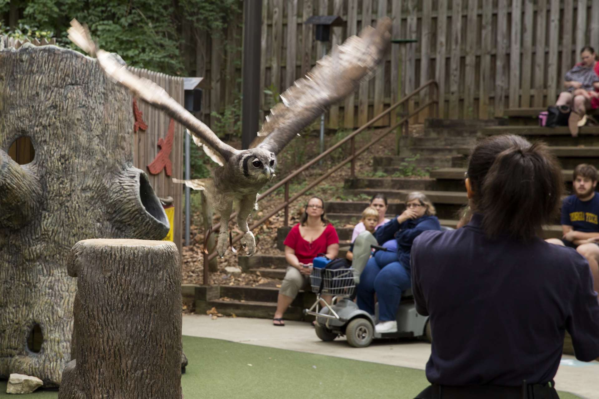 Fantastic Flights Zoo Atlanta