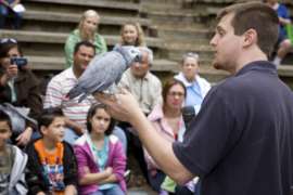 Bird presentation in World of Wild Theater