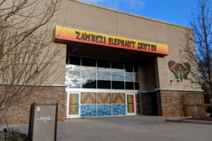 The exterior of the Zambezi Elephant center, covered in traditional patterns.