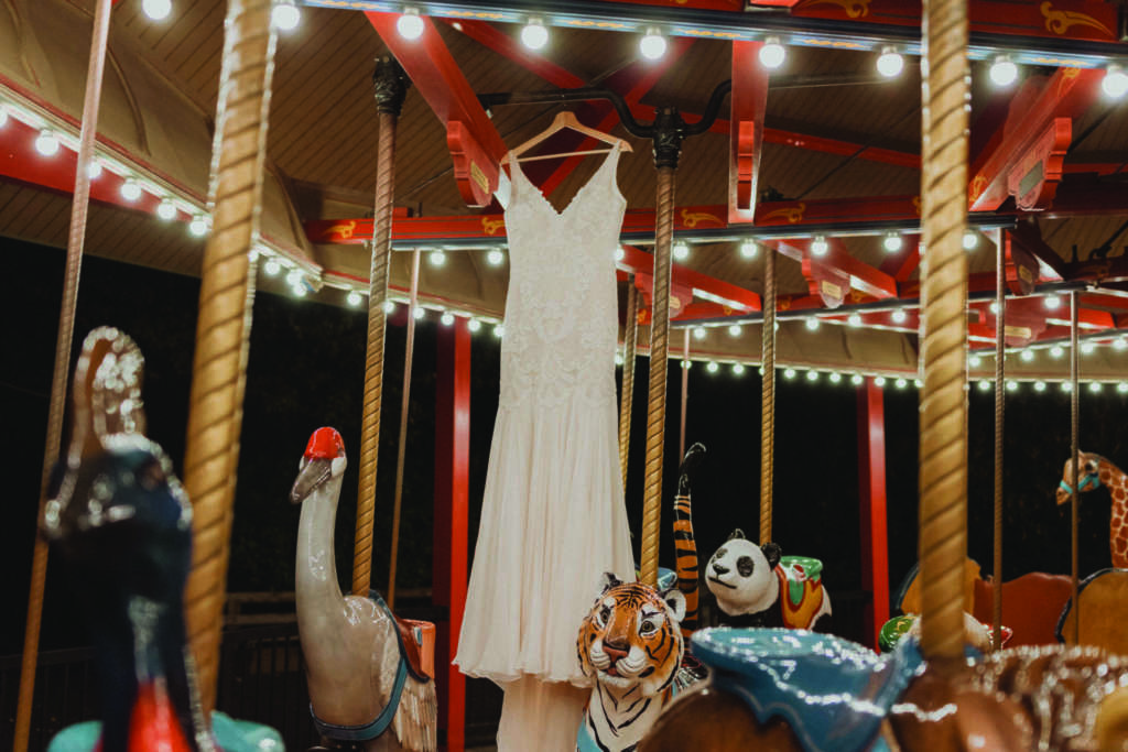 Wedding dress on Endangered Species Carousel
